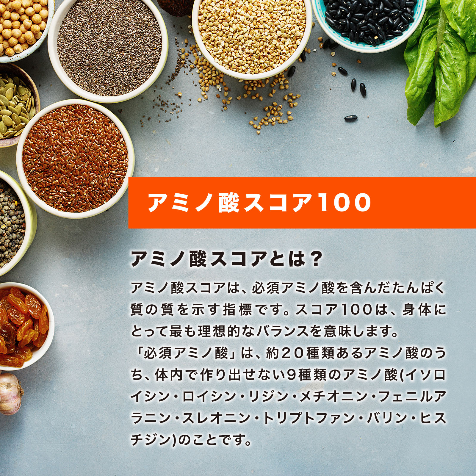 ホエイプロテイン WPC PURE 1kg プレーン