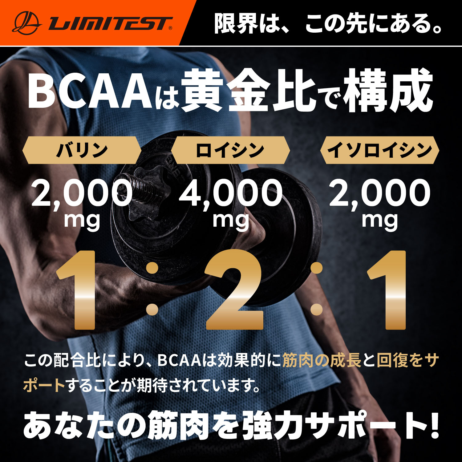 【専用】BCAA1食分（15g）レモン、グレープフルーツ2種セット