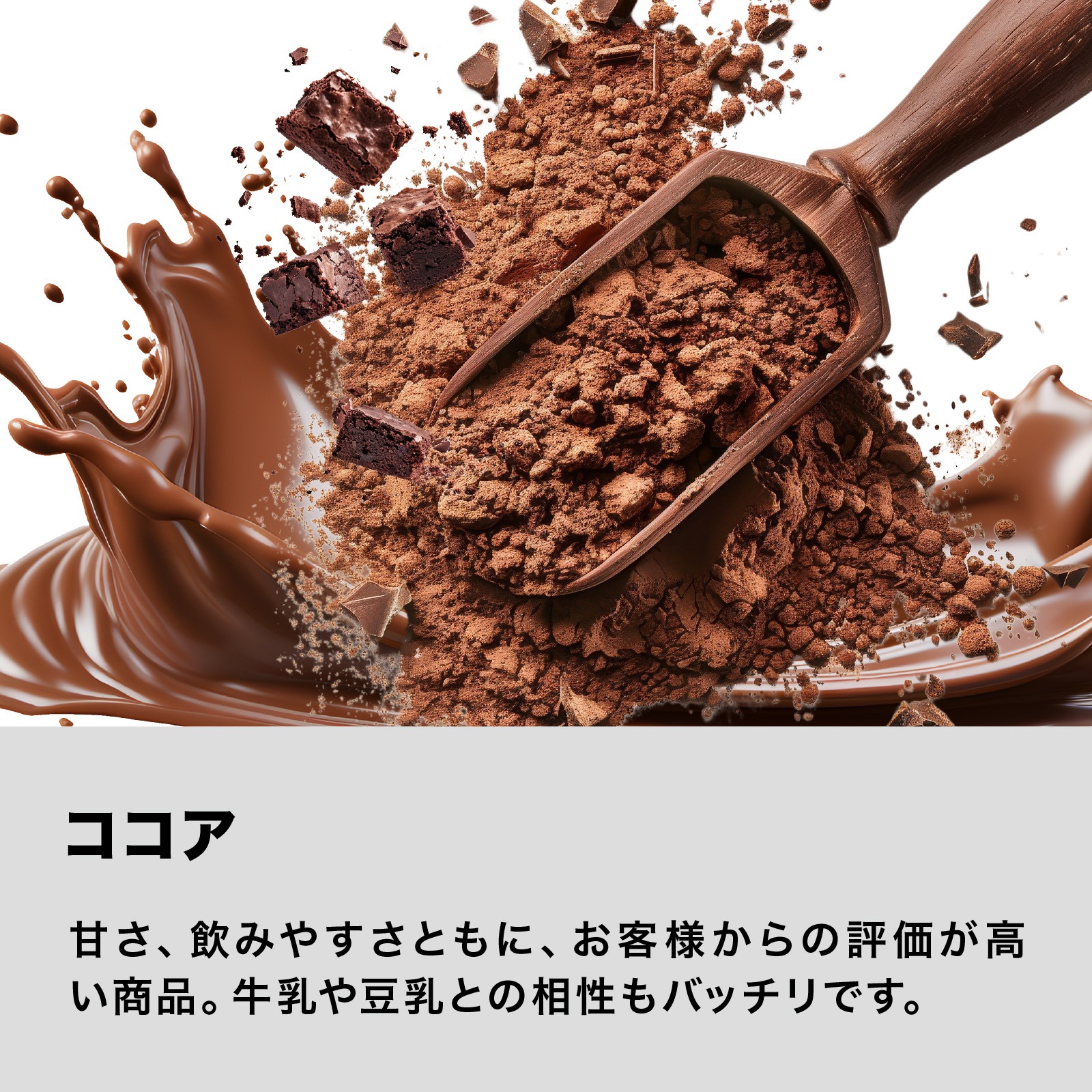 ホエイプロテイン WPC PURE 1kg ココア