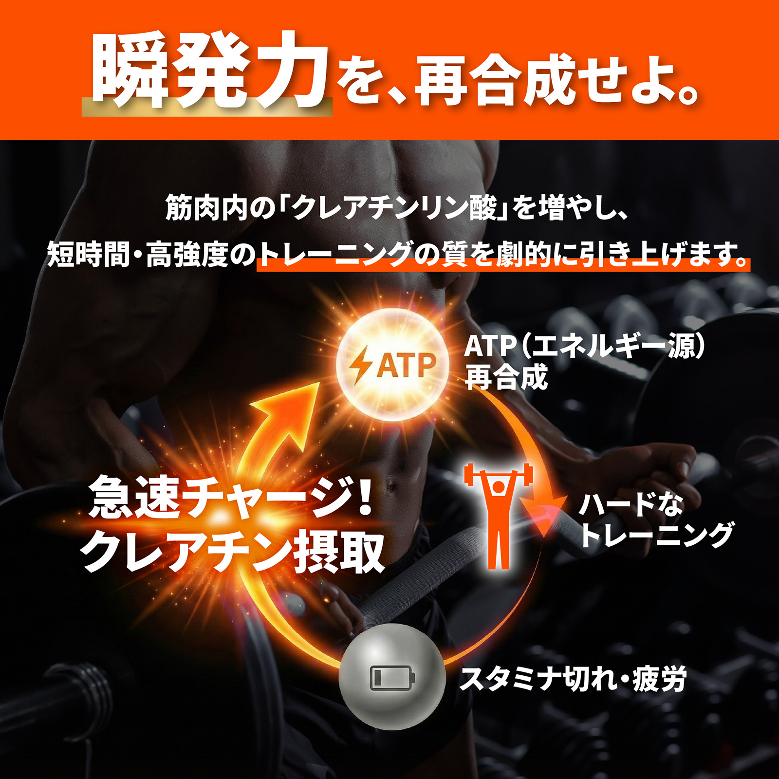 クレアチンパウダー 500g