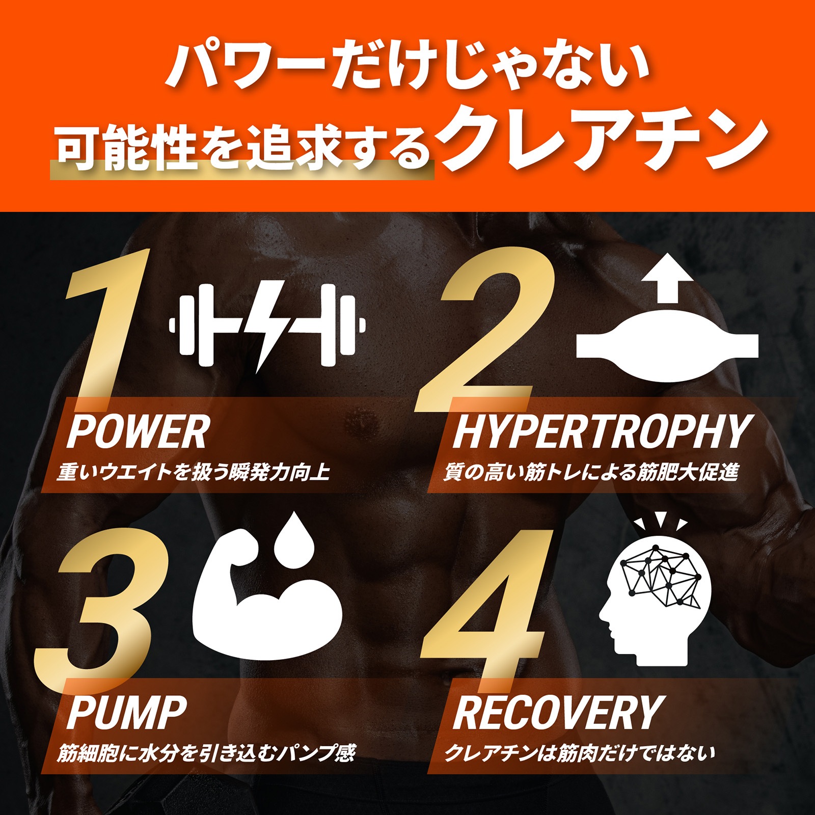 クレアチンパウダー 1000g