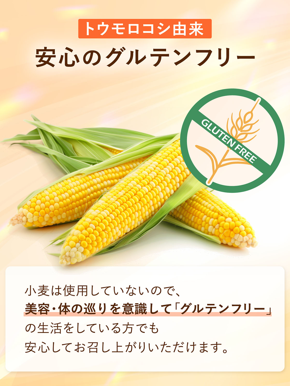 難消化性デキストリン 2000g