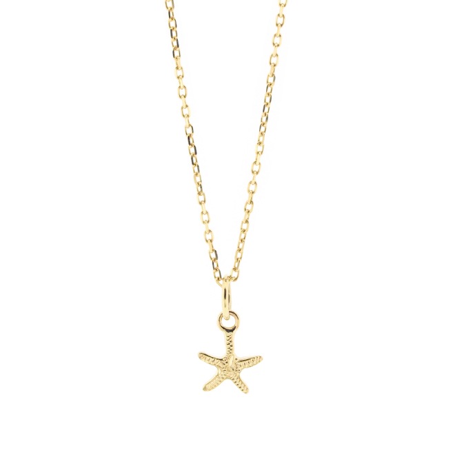 ほぼ未使用♡14k ヒトデ型ネックレストップ DSC05253_2665189e-f5b2-4b5f-