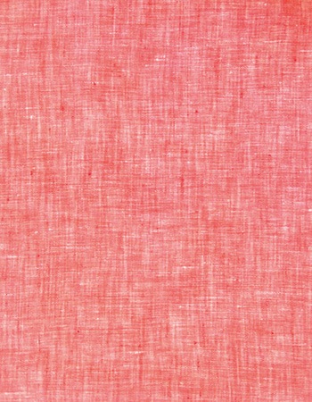 �ȥ����롼���������֥졼 �� Red����ʬ�ѡ�