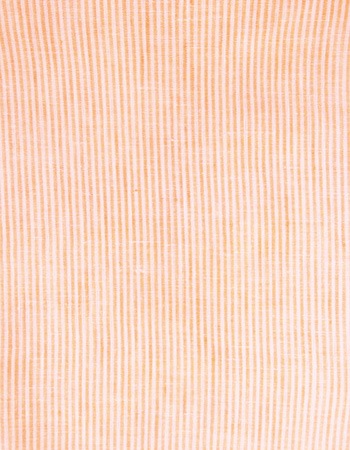 ȥ롼ȥ饤סOrangeʬѡ