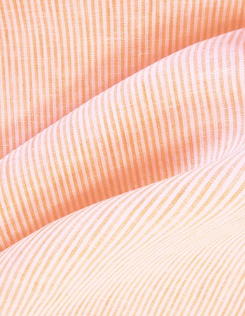 ȥ롼ȥ饤סOrangeʬѡ