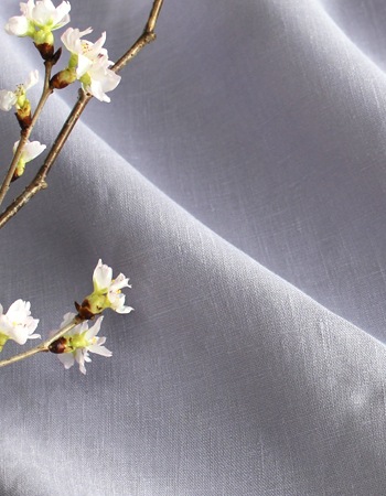 �饫�ʥ���Purple����ʬ�ѡ�