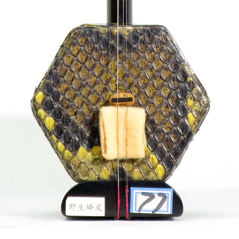 ������� �����ʥ��󡦥ե����˥�ǥ� BC-S-E001