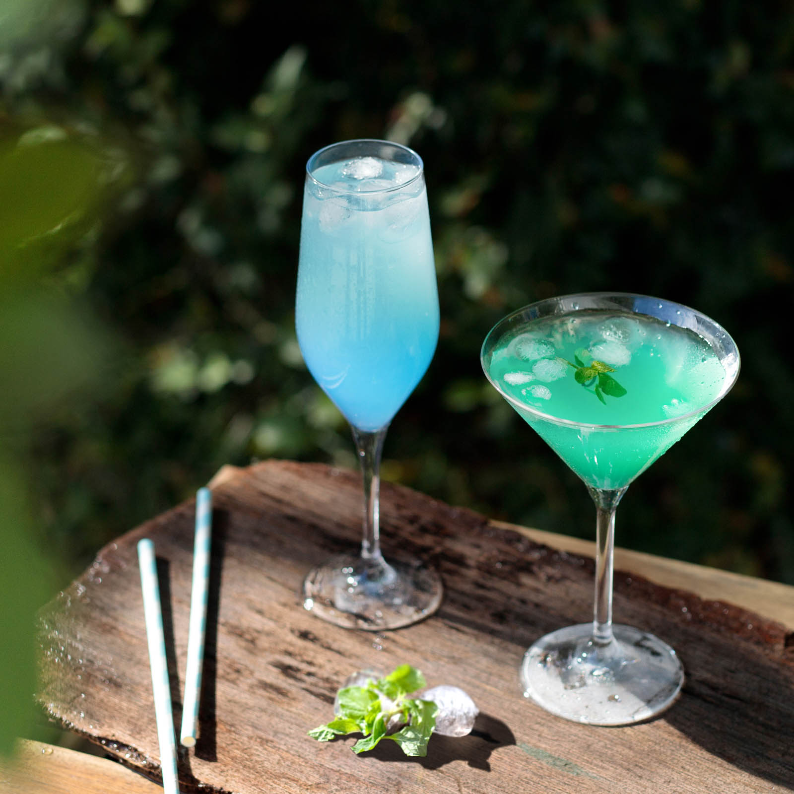 BOHEMIA Cristal _ グラングルメ / シャンペンフルート