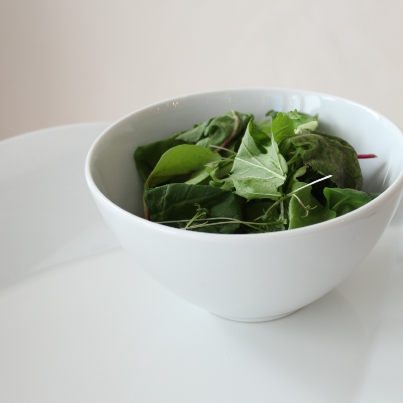 PILLIVUYT _ セシル ボウル 14cm/20cm