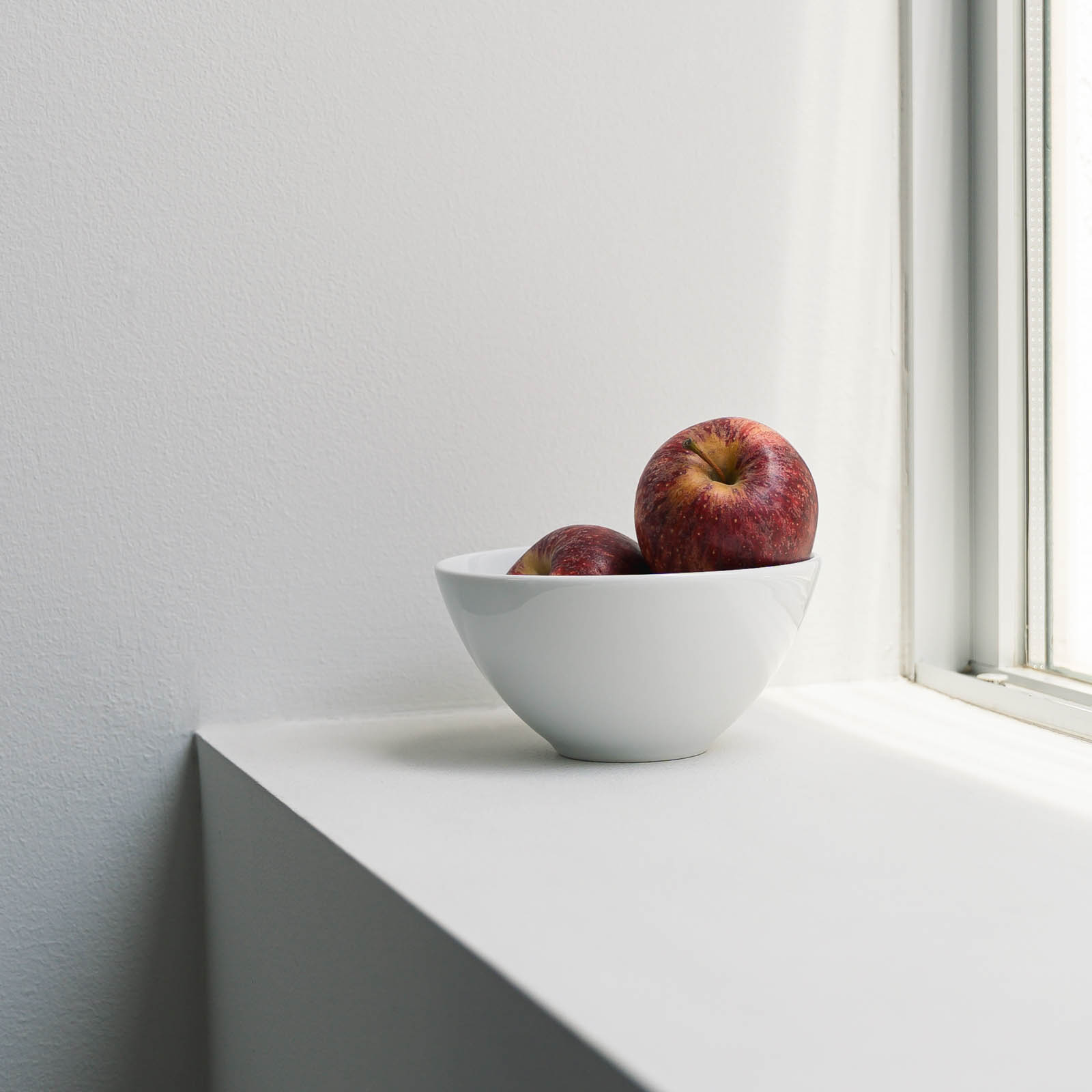 PILLIVUYT _ セシル ボウル 14cm/20cm