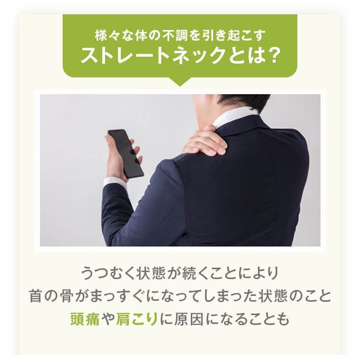 ̵ ȥ졼ȥͥå ͥåեå 4363cm 43 63 ⤵Ĵ  ǽ ¿ ȥ졼ȥͥå   ޤ ޥ ͥåԥ  