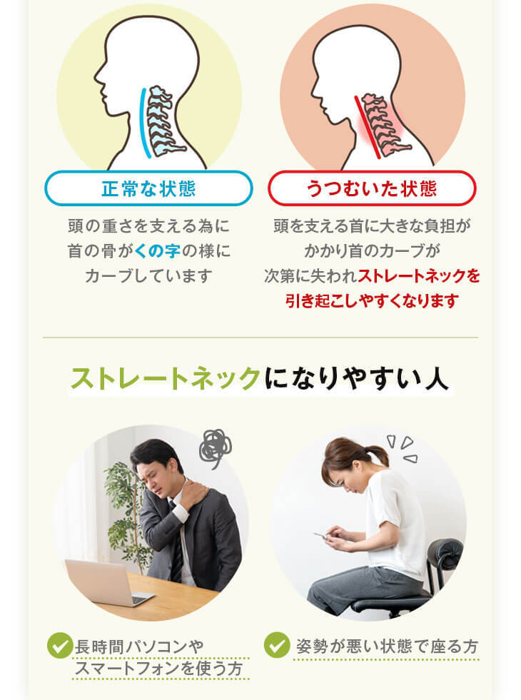 ̵ ȥ졼ȥͥå ͥåեå 4363cm 43 63 ⤵Ĵ  ǽ ¿ ȥ졼ȥͥå   ޤ ޥ ͥåԥ  