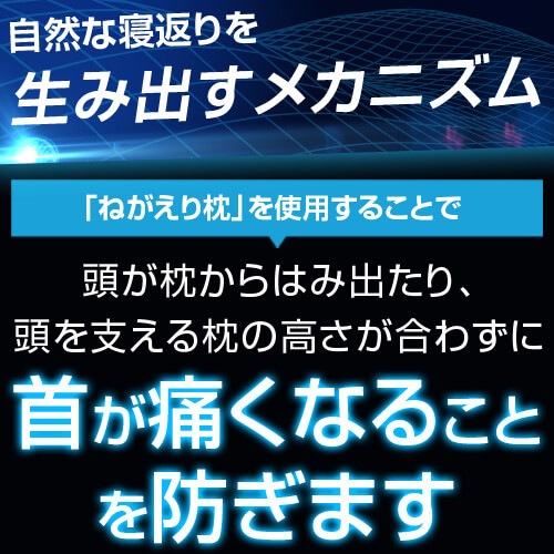  ͤ ֥å ֤ꤷ䤹 4363cm ⤵Ĵǽ ǽ ̵ Сץ쥼   㤵 ե ץ쥼 £ʪ     