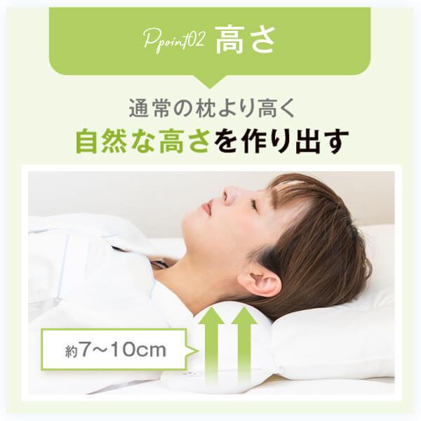 ���ȥ졼�ȥͥå� �� �ͥå��ե��å��� 35 �� 50 cm ������ ���� ���å� �󤳤� ������ ���� ������ �⤵Ĵ�� ������