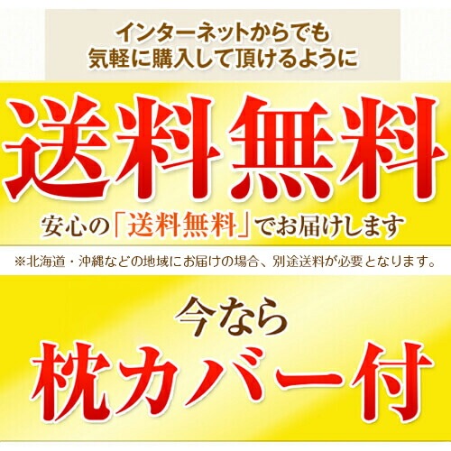 �� ������ �ͥå��ե��å��� 43��63cm ������ӡ������ȥ졼�ȥͥå� ���ȥ졼�ȥͥå��� ���å� ���� ������ �󤳤� ���� ������