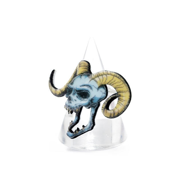 EVIL��󥰡� Cape of good hope��