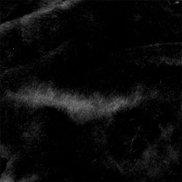 12ܤϤͽꡦͽ桪LISTEN FLAVORåե졼СǭǭƱե֥륾BLACK