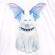 LISTEN FLAVOR����å���ե졼�С����������ǭ�ϡ��ͥ��ȥåץ���WHITE��