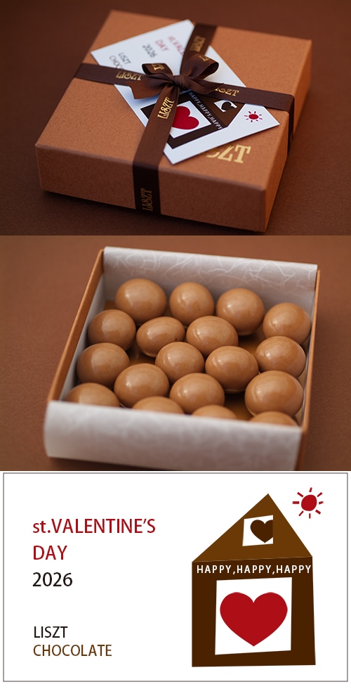 マカダミアナッツチョコレート(アンダンテ ( S ) BOX入り マカダミアナッツチョコレート(アンダンテ ( S ) BOX入り
