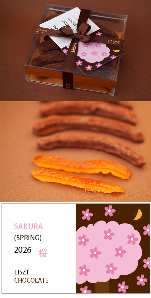 ����󥸥ԡ�����祳�졼��(��ܥ�/���ꥢ BOX ����)/"sakura��2026"