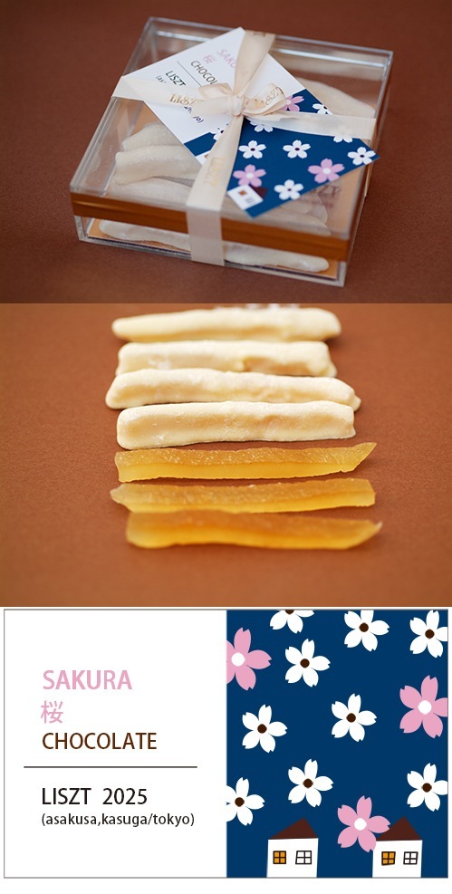 ԡ祳졼(ܥ/ꥢBOX)/sakura2025