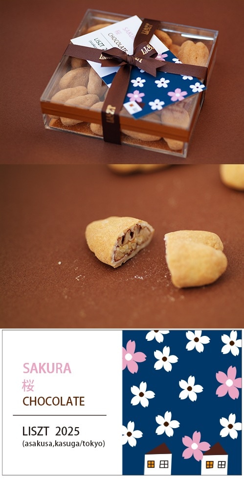 ԡʥåĥ祳졼() ܥ/ꥢBOX/sakura2025