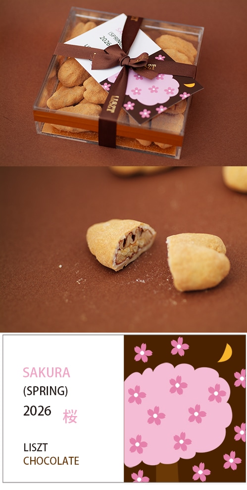 �ԡ�����ʥåĥ��祳�졼��(�������) ��ܥ�/���ꥢBOX����/��sakura��2026��