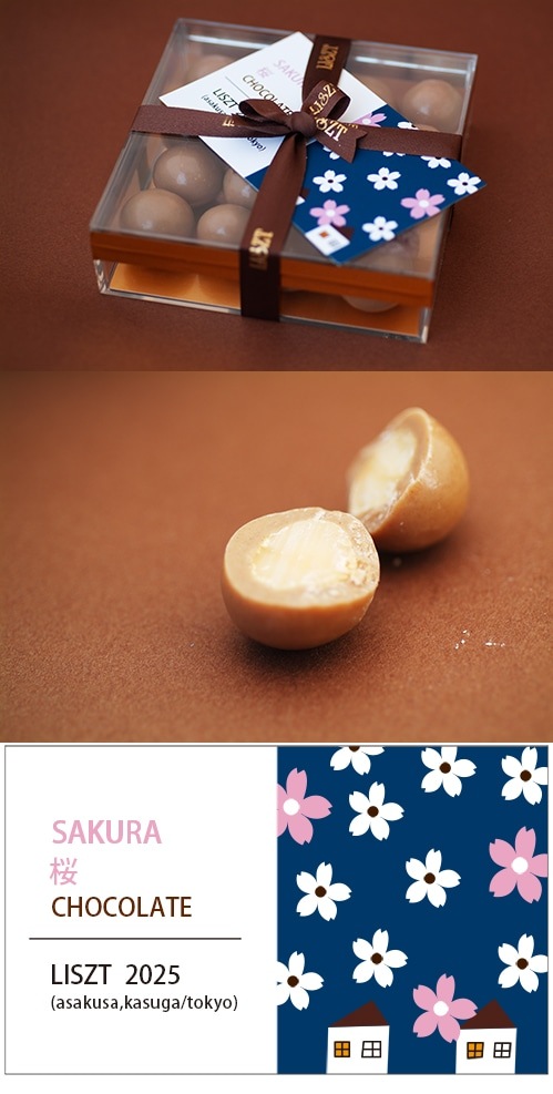 �ޥ����ߥ��ʥåĥ��祳�졼��(��ܥ�/���ꥢBOX����)/��sakura��2025��