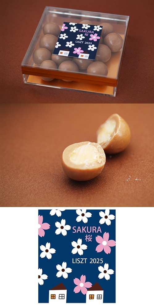 �ޥ����ߥ��ʥåĥ��祳�졼��(����ڥ���BOX����)/��sakura��2025��