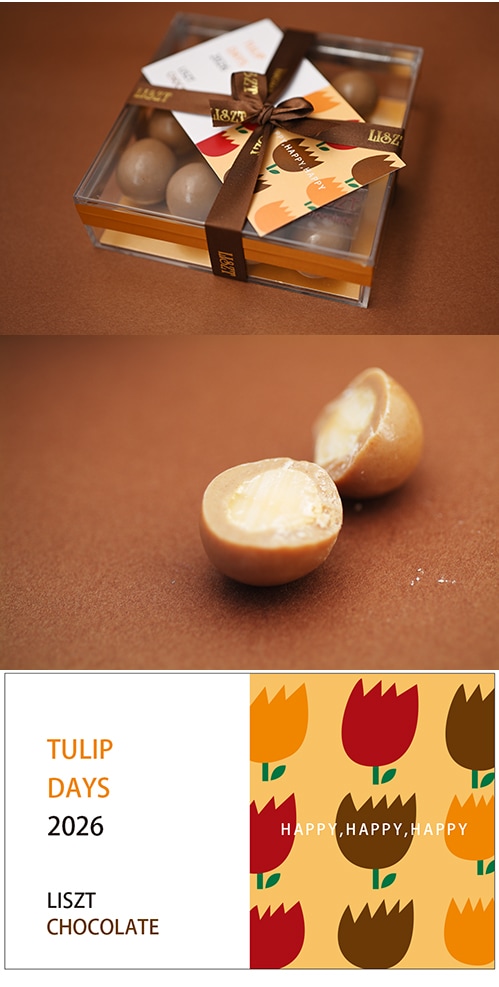 �ޥ����ߥ��ʥåĥ��祳�졼��(��ܥ�/���ꥢBOX����)/