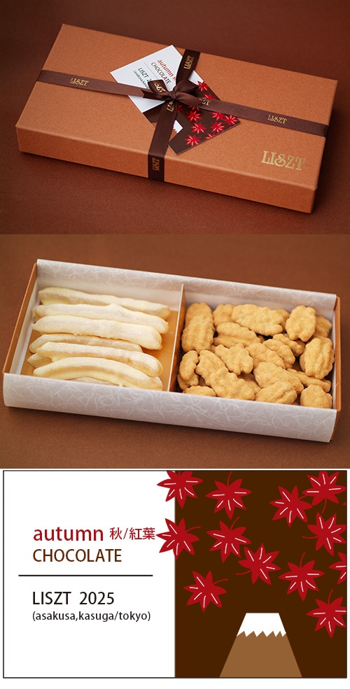 ԡ&ԡʥå()/祳졼2/ (M) BOX/