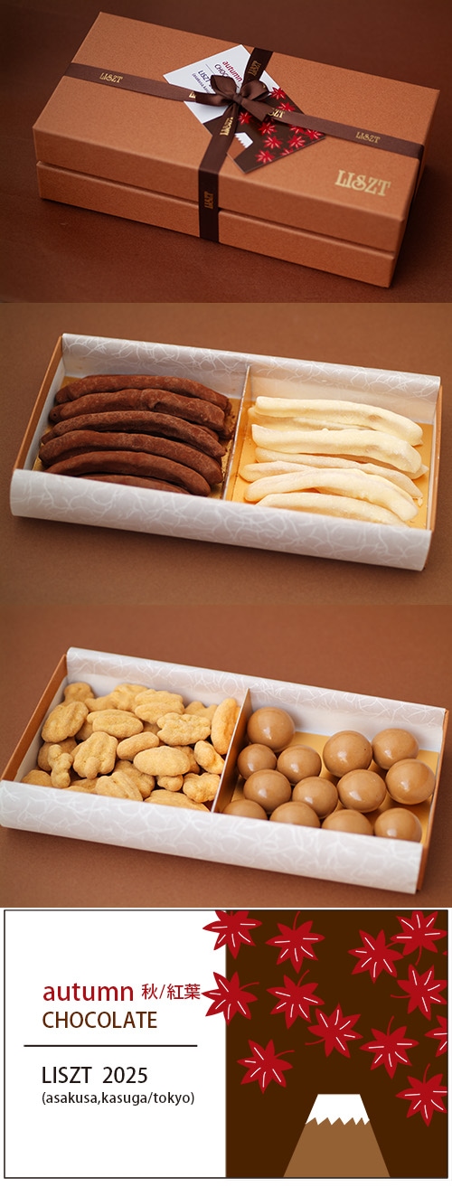 オレンジピール&レモンピール&ピーカンナッツ(キャラメル)&マカダミアナッツ/チョコレート4種類/アンダンテ (M) BOX入り×2段/"秋・紅葉2025"