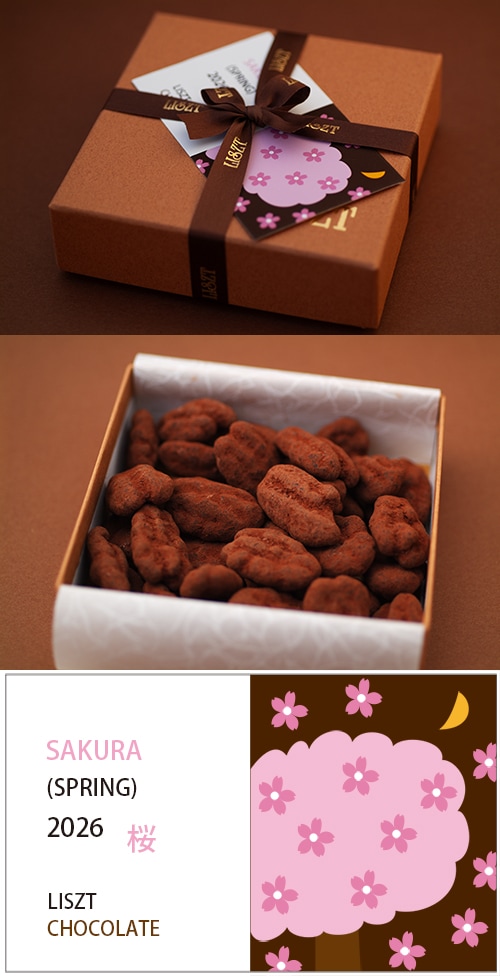 �ԡ�����ʥåĥ��祳�졼��(������) /�������� (S) BOX����/