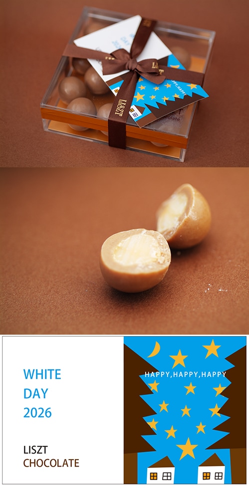 �ޥ����ߥ��ʥåĥ��祳�졼��(��ܥ�/���ꥢBOX����)/