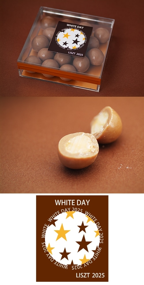 �ޥ����ߥ��ʥåĥ��祳�졼��(����ڥ���BOX����)/"�ۥ磻�ȥǡ�2025"