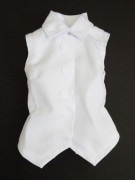 ñʡMDDΡ꡼ֱ֥饦/졼ʤ