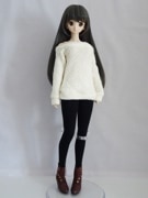 DDS/DD/DDdy/SD/ޡȥɡ롡եԡʥ/⥳