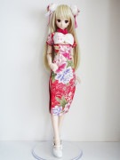 DDS(L)/DD(L)���ե���ȥ�������������µ����ߥǥ����㥤�ʡ�ɴ�֡�