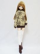 DDS/DD/ޡȥɡ롡ȥͥåԡʥԥΥ