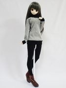 DDS/DD/DDdy/SD/ޡȥɡ롡ȥͥåԡʥ졼߹