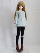 DDS/DD/DDdy/ޡȥɡ롡եԡʥ/͡忧