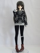 DDS/DD/DDdy/SD/ޡȥɡ롡եԡʥ/Υ