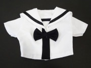 ��ñ��/���������ǡ�DDS/DD/���ޡ��ȥɡ���(S)/AZO2(G)��ǡ��رॻ���顼���֥饦��/Ⱦµ�������