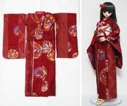 ñʡDD/DDdy/ޡȥɡ롡ʪͼƼܡ