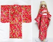 ñʡDD/DDdy/ޡȥɡ롡ʪֺܡ