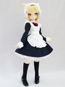 MDD(S)ˤ󤳥ץɥ쥹/Ĺµʺ