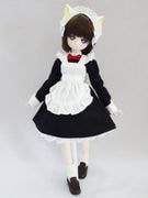 MDD(S)ˤ󤳥ץɥ쥹/Ĺµʹ