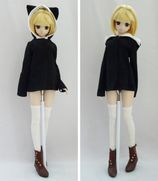 DDS/DD/DDdy/SD/���ޡ��ȥɡ��롡���˥ޥ륳����/�ͤ��ʹ���