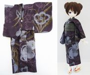 ��ñ�ʡ�MDD�����ʻ�֡�